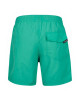 ONeill Vert Swim 16 Shorts - Sea Green